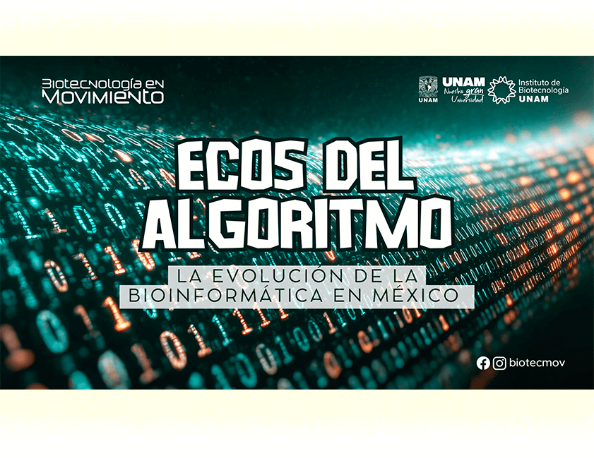 Ecos del Algoritmo